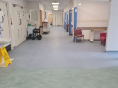 NHS-Flo2